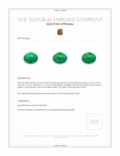 0.65 Ct. Cabochon Emerald from Brazil Appraisal