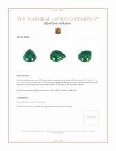 Jewelry Appraisal