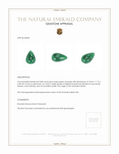 8.88 Ct. Cabochon Emerald from Brazil Appraisal