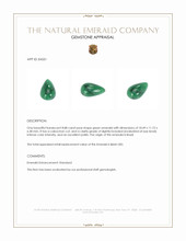 8.88 Ct. Cabochon Emerald from Brazil Appraisal