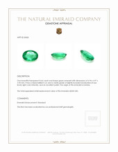 0.66 Ct. Emerald from Zambia Appraisal