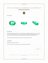 0.62 Ct. Emerald from Zambia Appraisal