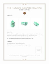 Jewelry Appraisal