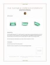 1.37 Ct. Emerald from Russia Appraisal