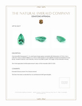 1.16 Ct. Emerald from Russia Appraisal