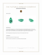 1.16 Ct. Emerald from Russia Appraisal