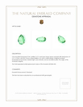 4.27 Ct. Emerald from Nigeria Appraisal