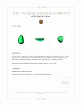 3.75 Ct. Emerald from Zambia Appraisal