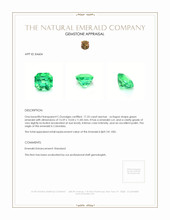 17.22 Ct. Emerald from Colombia Appraisal