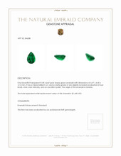 0.48 Ct. Emerald from Zambia Appraisal