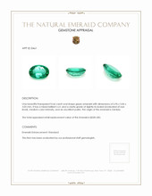 0.66 Ct. Emerald from Zambia Appraisal