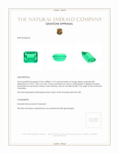 3.19 Ct. Emerald from Colombia Appraisal