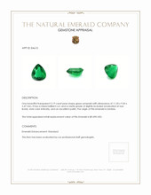 3.19 Ct. Emerald from Zambia Appraisal