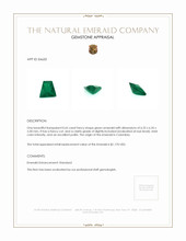 0.65 Ct. Emerald from Colombia Appraisal