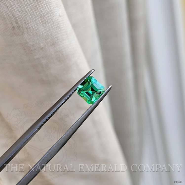 0.88 Ct. Emerald from Colombia