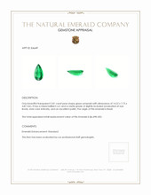 2.81 Ct. Emerald from Brazil Appraisal