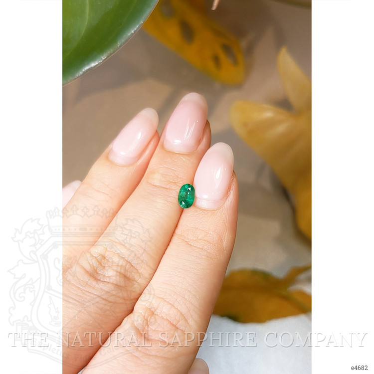 0.47 Ct. Emerald from Brazil