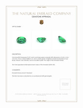 0.49 Ct. Emerald from Brazil Appraisal