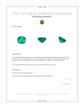 0.69 Ct. Emerald from Brazil Appraisal