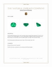 0.69 Ct. Emerald from Brazil Appraisal