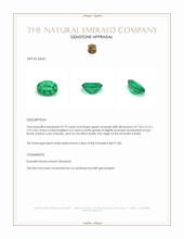 0.79 Ct. Emerald from Brazil Appraisal