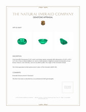 0.49 Ct. Emerald from Brazil Appraisal