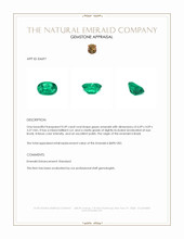 0.49 Ct. Emerald from Brazil Appraisal