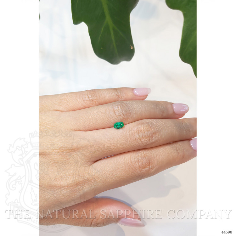0.48 Ct. Emerald from Brazil