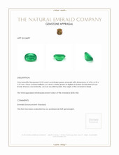 0.53 Ct. Emerald from Brazil Appraisal