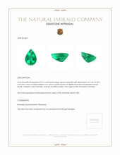 Jewelry Appraisal
