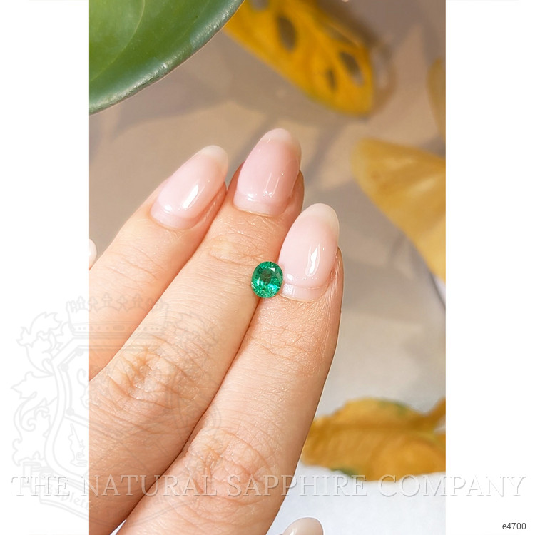 0.57 Ct. Emerald from Brazil