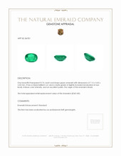0.76 Ct. Emerald from Brazil Appraisal