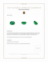 0.80 Ct. Emerald from Brazil Appraisal