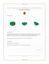 0.82 Ct. Emerald from Brazil Appraisal
