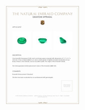 0.88 Ct. Emerald from Brazil Appraisal
