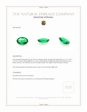 0.60 Ct. Emerald from Zambia Appraisal