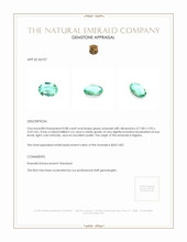 0.88 Ct. Emerald from Nigeria Appraisal