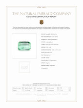 Jewelry Scan Report