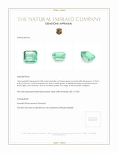 3.89 Ct. Emerald from Nigeria Appraisal