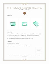 4.73 Ct. Emerald from Nigeria Appraisal