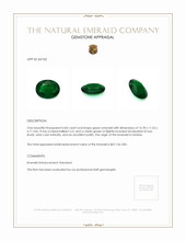 6.85 Ct. Emerald from Zambia Appraisal