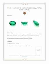 0.64 Ct. Emerald from Zambia Appraisal