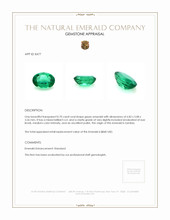 0.70 Ct. Emerald from Zambia Appraisal