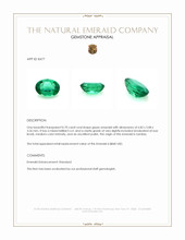 0.70 Ct. Emerald from Zambia Appraisal