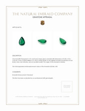 1.02 Ct. Emerald from Zambia Appraisal