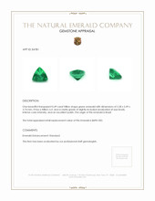 0.49 Ct. Emerald from Brazil Appraisal