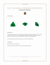 0.50 Ct. Emerald from Brazil Appraisal