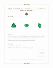 0.55 Ct. Emerald from Brazil Appraisal