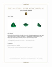 0.55 Ct. Emerald from Brazil Appraisal