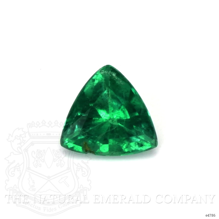0.55 Ct. Emerald from Brazil